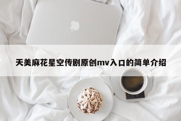 天美麻花星空传剧原创mv入口的简单介绍