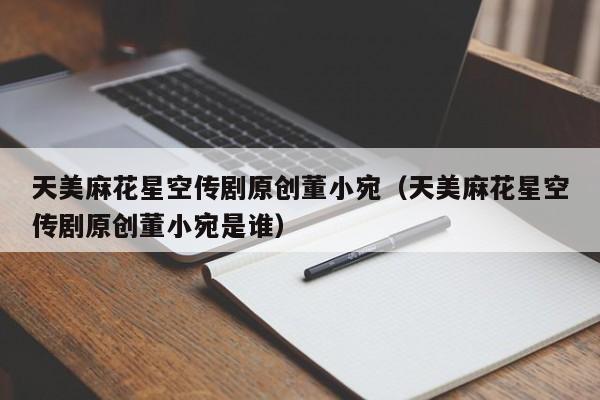 天美麻花星空传剧原创董小宛（天美麻花星空传剧原创董小宛是谁）