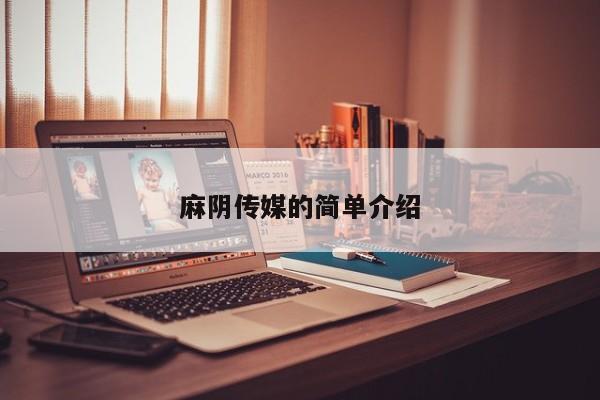 麻阴传媒的简单介绍